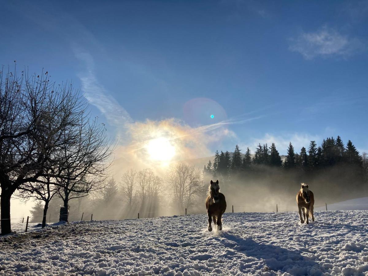 Villa Haslehnerhof Ramsau am Dachstein Esterno foto