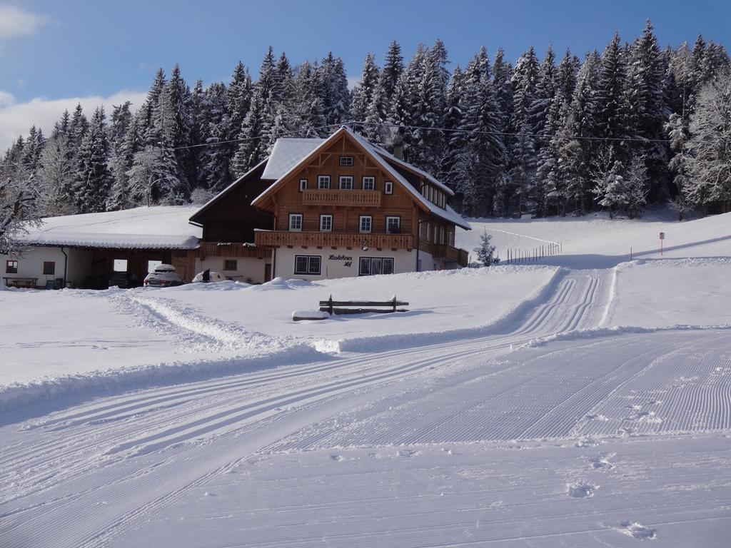 Villa Haslehnerhof Ramsau am Dachstein Esterno foto